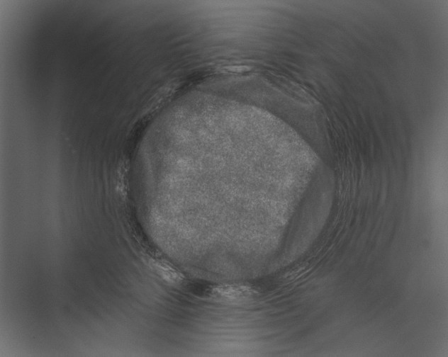 X0000075340712200610061655