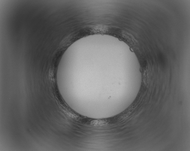 X0000075340714200610061655