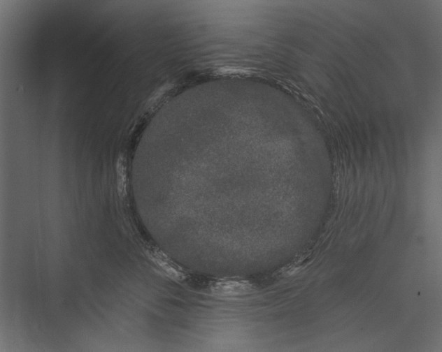 X0000075340716200610061655
