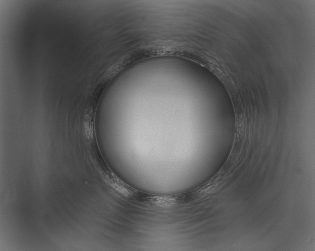 X0000075340719200610061655