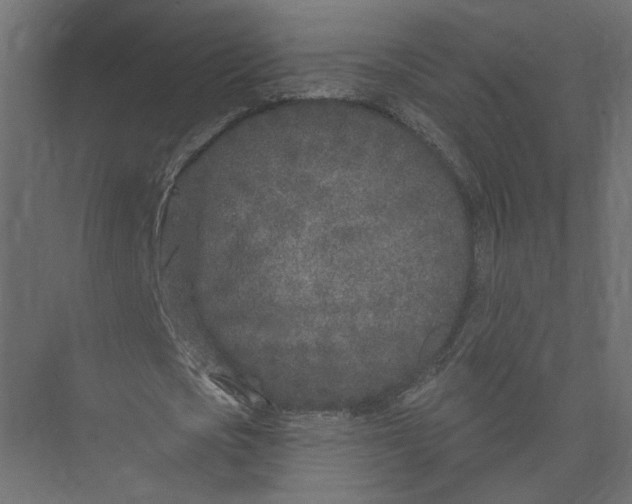 X0000075340721200610061654