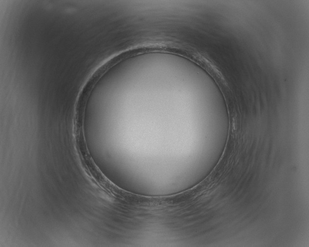 X0000075340724200610061654