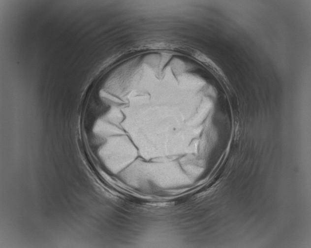 X0000075340725200610061654
