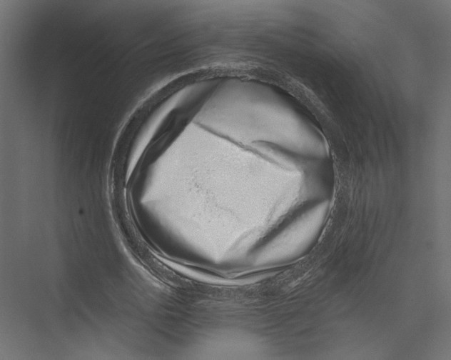 X0000075340726200610061654