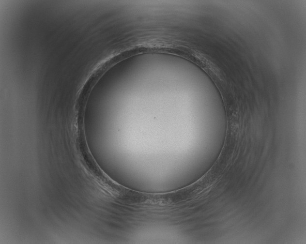X0000075340727200610061654