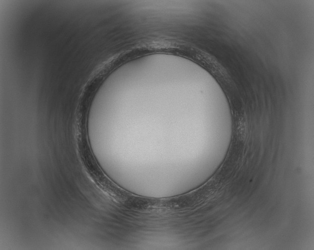 X0000075340732200610061654