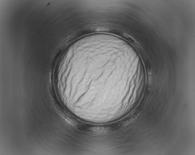 X0000075340733200610061654