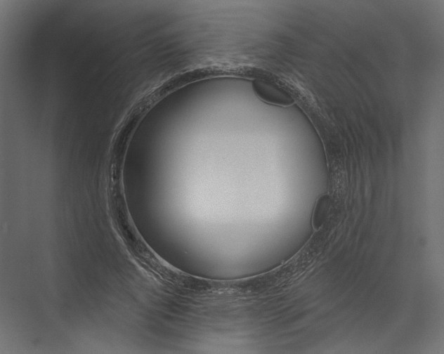 X0000075340736200610061654
