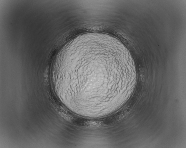 X0000075340737200610061654