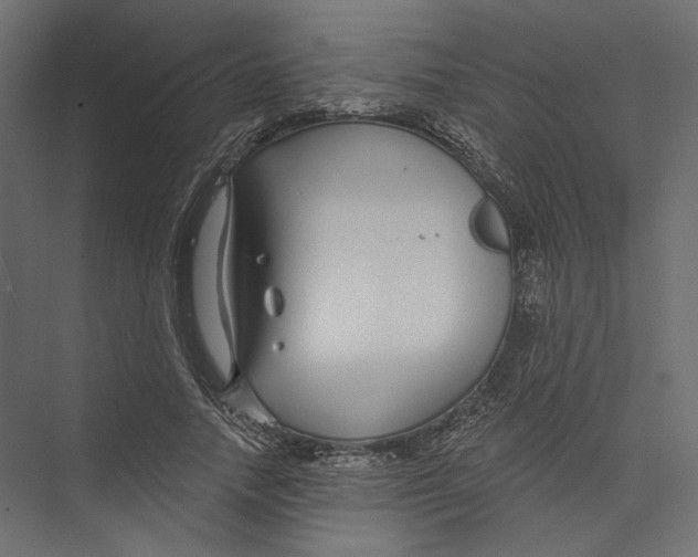 X0000075340738200610061654