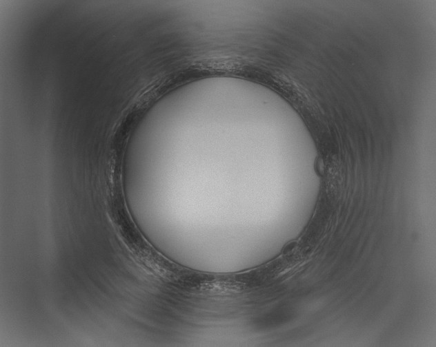 X0000075340739200610061654