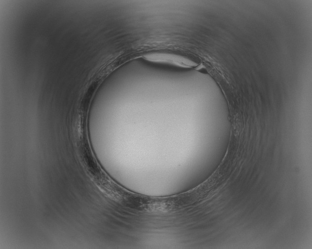 X0000075340740200610061654