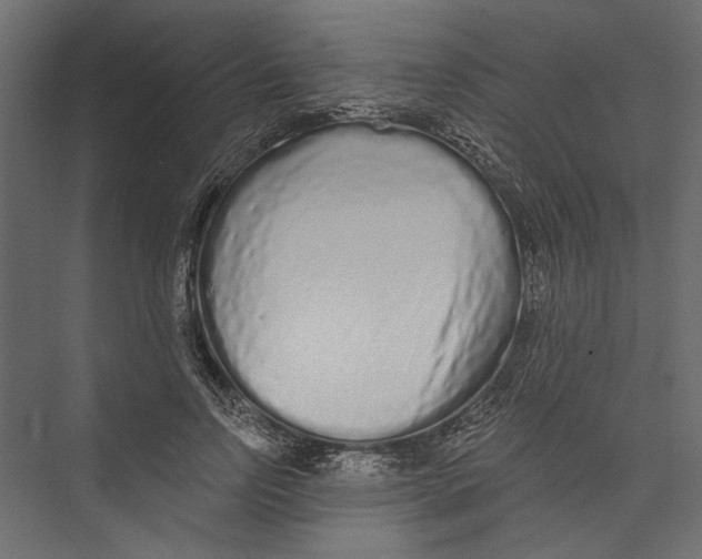 X0000075340742200610061654