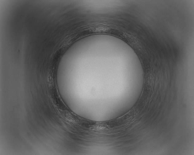 X0000075340743200610061654