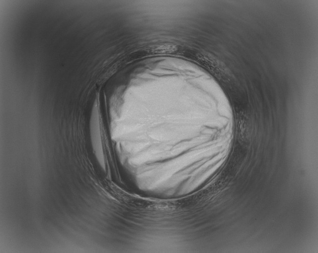 X0000075340745200610061654