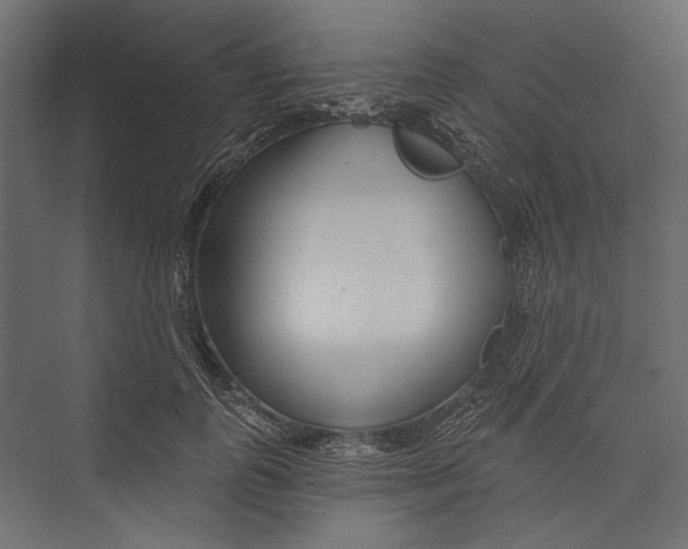 X0000075340747200610061654