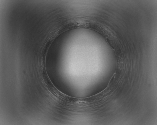 X0000075340748200610061654