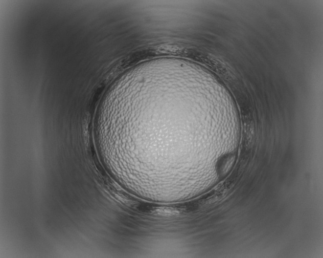 X0000075340749200610061654
