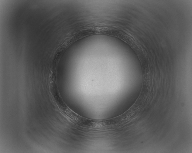 X0000075340750200610061654