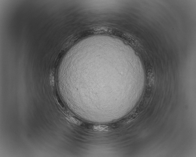 X0000075340753200610061654