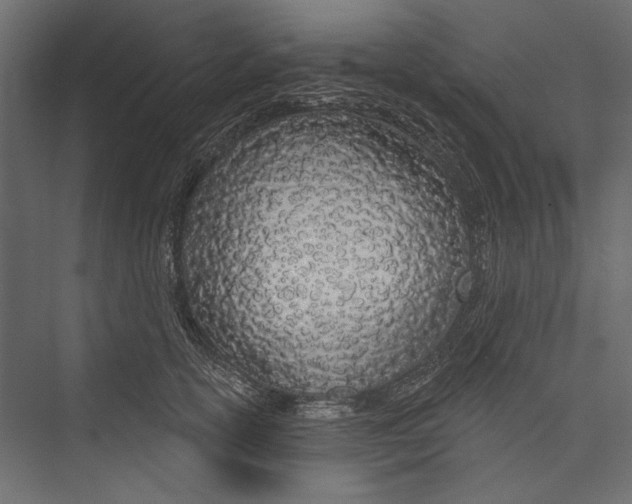 X0000075340754200610061654