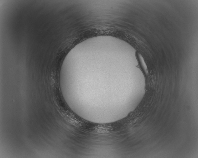 X0000075340756200610061654
