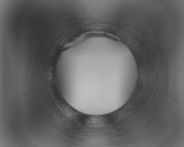 X0000075340758200610061654