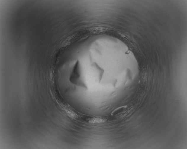 X0000075340759200610061654