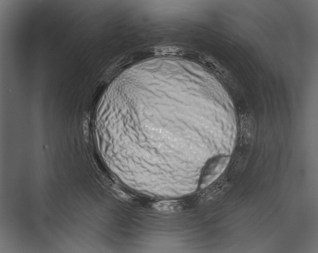 X0000075340761200610061654