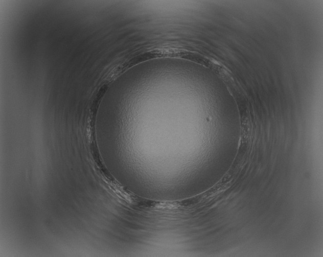 X0000075340762200610061654
