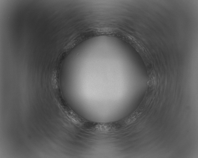 X0000075340764200610061654