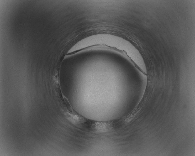 X0000075340766200610061655
