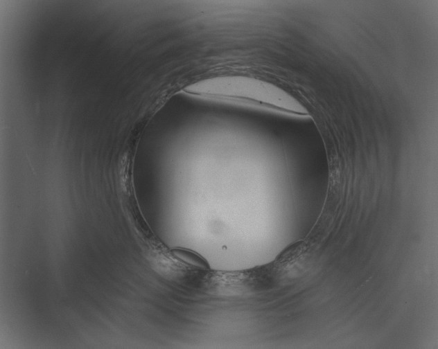 X0000075340767200610061655