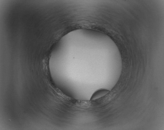 X0000075340768200610061655