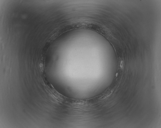 X0000075340771200610061654