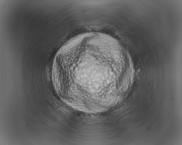 X0000075340772200610061654