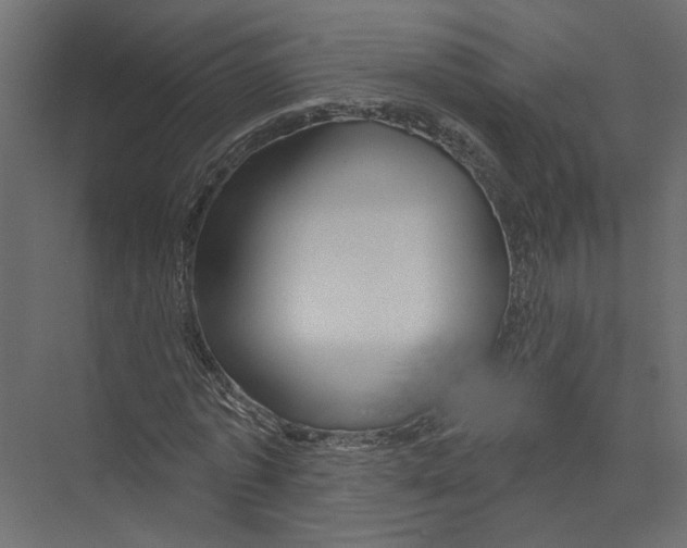 X0000075340773200610061654