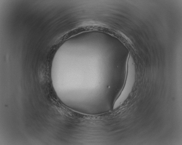 X0000075340775200610061654