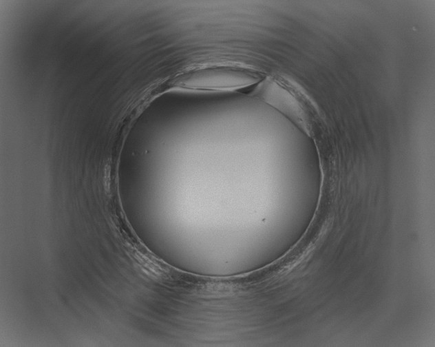 X0000075340777200610061654