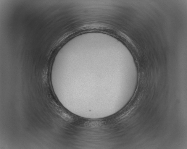 X0000075340778200610061654