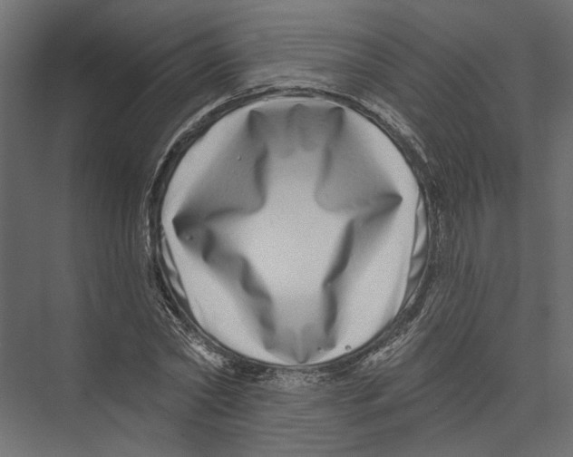 X0000075340782200610061654
