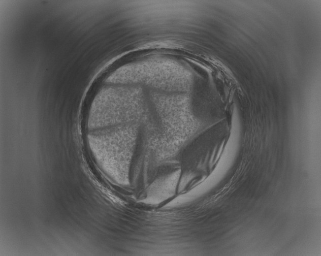 X0000075340784200610061653