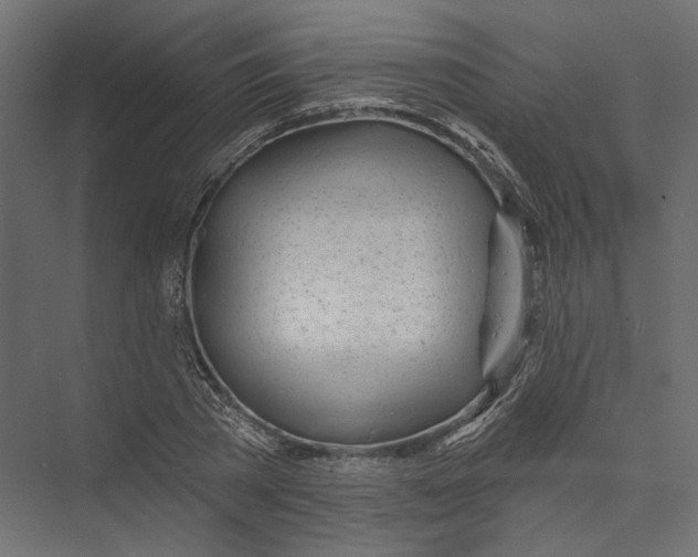 X0000075340785200610061653