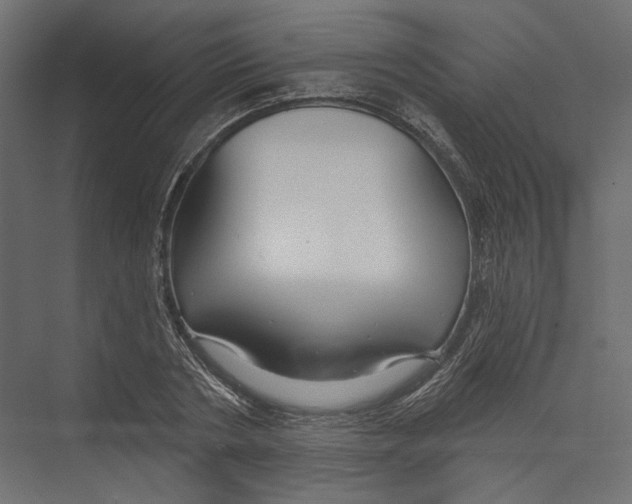 X0000075340786200610061653