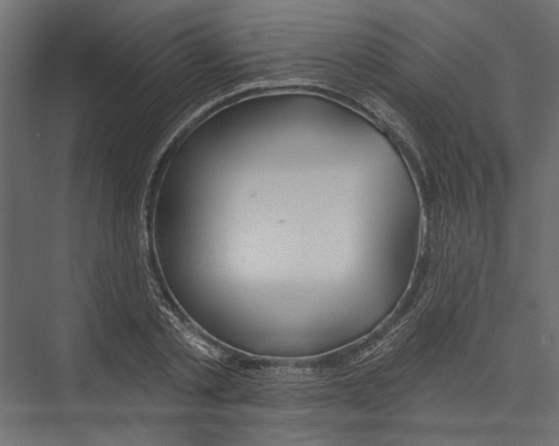 X0000075340789200610061653
