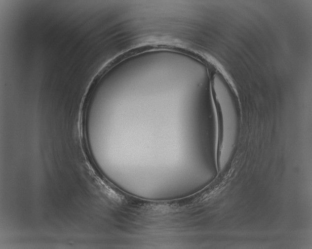X0000075340791200610061653