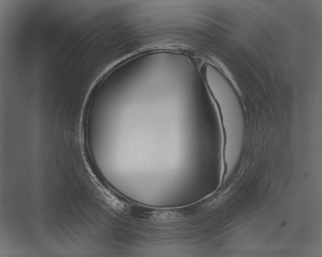 X0000075340795200610061653
