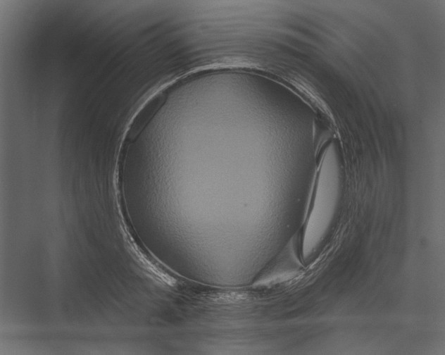 X0000075340797200610061653