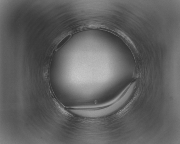 X0000075340801200610061653