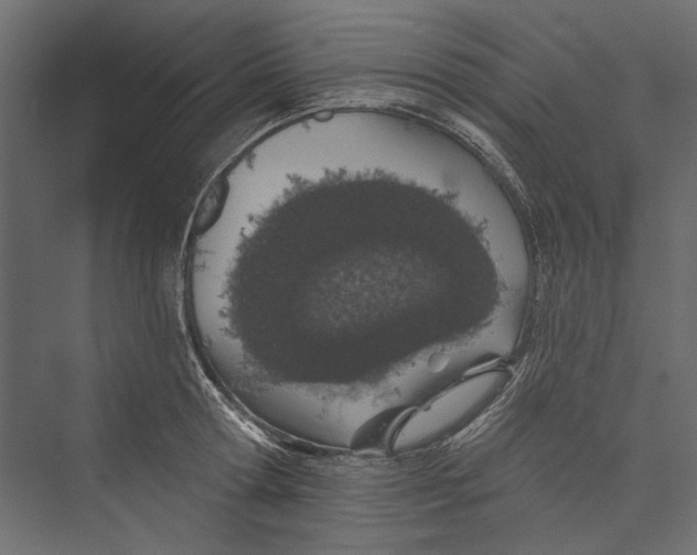 X0000075340802200610061653